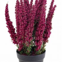 Erika lila ljungkvast ljung konstväxt H26cm