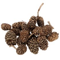 Artikel Alkottar, naturprodukt för dekoration och hantverk, guld, 3 cm, 300 g