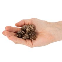 Artikel Alkottar, naturprodukt för dekoration och hantverk, guld, 3 cm, 300 g