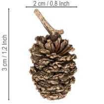 Artikel Alkottar, naturprodukt för dekoration och hantverk, guld, 3 cm, 300 g