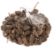 Artikel Alkottar, naturprodukt för dekoration och hantverk, guld, 3 cm, 300 g