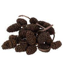 Artikel Naturliga alkottar, lösa, för dekoration, 3 cm, 300 g, naturbrun.