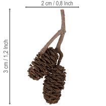 Artikel Naturliga alkottar, lösa, för dekoration, 3 cm, 300 g, naturbrun.