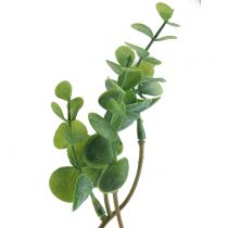 Konstgjord eukalyptusgren grön 37cm 6st