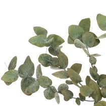 Artikel Konserverade dekorativa grenar och blad av eukalyptus, rund torkad dekoration, grön, 150 g