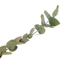 Artikel Konserverade dekorativa grenar och blad av eukalyptus, rund torkad dekoration, grön, 150 g