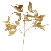 Eucalyptus Artificiell Lancet Eucalyptus Branch Guld L95cm