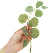 Artikel Dekorativ eukalyptusgren, idealisk bordsdekoration, 120 cm