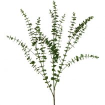 Eukalyptusgren grön 130cm