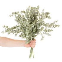 Artikel Konstgjord eukalyptusgren, dekorativ gren för vaser och buketter, 49 cm, 4 stycken