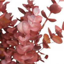 Artikel Höstdekoration eukalyptusgren röd konstgjord eukalyptus 36cm