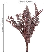 Artikel Eukalyptusgrenar, konserverad eukalyptus, torkade blommor, röda, 75 cm, 150 g