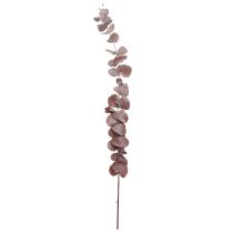Artikel Eukalyptusgrenar, konserverad eukalyptus, torkade blommor, röda, 75 cm, 150 g