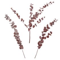 Artikel Eukalyptusgrenar, konserverad eukalyptus, torkade blommor, röda, 75 cm, 150 g