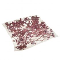 Artikel Eukalyptusgrenar röd frostad naturlig dekoration exotisk 25 stycken