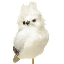 Artikel Uggla på pinnen vit 9 cm L48cm