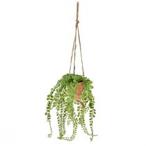Konstgjorda suckulenter i kruka Sedum hängande korg 34cm