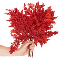 Artikel Ormbunkar, konserverade och färgade, äkta ormbunkar för höstarrangemang, 42 cm, 10 stycken