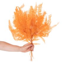 Artikel Ormbunkegren, konserverad ormbunke, torkad dekoration för arrangemang, 60 cm, 10 stycken