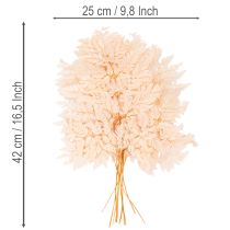 Artikel Torkad ormbunkedekoration för vas 42 cm 10 st