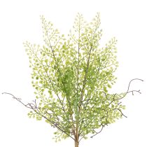 Artikel Konstgjord grön Ruscus-gren för blomsterdekoration, 41 cm