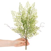 Artikel Konstgjord grön Ruscus-gren för blomsterdekoration, 41 cm