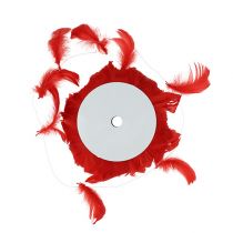 Fjäder på trådröd 10m
