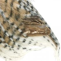 Artikel Skogsugla, höstdekoration, dekorativ uggla, Halloween H16cm