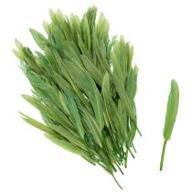 Artikel Dekorativa fjädrar för en elegant atmosfär och imponerande dekorationer 10 cm