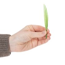 Artikel Dekorativa fjädrar för en elegant atmosfär och imponerande dekorationer 10 cm