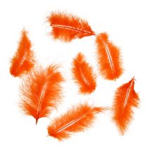 Artikel Fjädrar korta 30g Orange