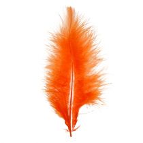 Artikel Fjädrar korta 30g Orange