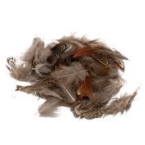 Artikel Fjädrar för mångsidiga hantverksidéer, kreativ design och dekorationsidéer, 5 cm, 3 g