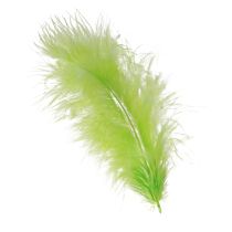 Artikel Fjädrar för pyssel i ljusgrön fjäderdekoration 5-10cm 20g