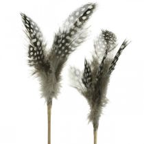 Artikel Dekorativa fjädrar prickade på pinnen äkta pärlhönsfjädrar 4-8cm 24st