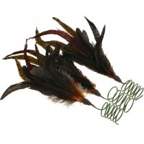 Artikel Färgglad fjäderdekor på tråd fjäderdekoration H35cm 3st