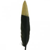 Dekorativa fjädrar svarta, guld äkta fjädrar för hantverk 12-14cm 72p