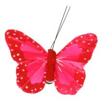 Fjäderfjärilar på klämma mångfärgade 7cm 12st
