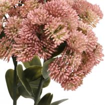 Artikel Stonecrop Rosa Sedum Stonecrop Konstgjorda Blommor H48cm 4st