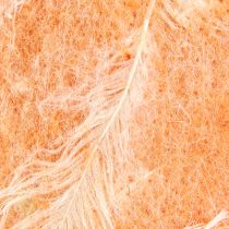 Artikel Filtband ull band dekorativt tyg orange fjädrar ullfilt 15cm 5m