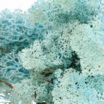 Dekorativ mossa ljusblå akvamarin ren mossa hantverksmossa 400g