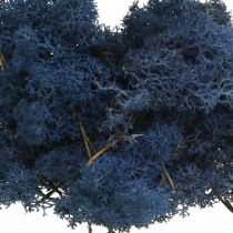 Deco mossblå torrmossa för hantverk färgad 500g