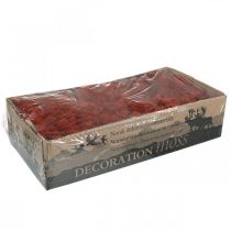 Artikel Dekorativ mossaröd Siena naturmossa för hantverk Torkad, färgad 500g