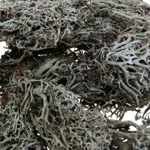 Artikel Lav lav mossa träd mossa dekorativ mossa naturlig 1kg