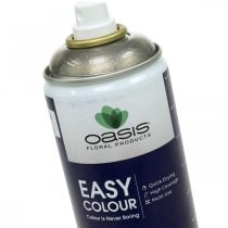 Artikel Glitter Spray Silver Flitter Easy Color Color Spray 400ml