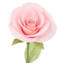 Artikel Blomsterpapper gräsgrönt 50x250cm