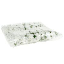 Artikel Foam Rose Ø 3,5cm vit 48 st