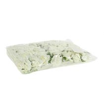 Artikel Skumros Ø3,5cm Creme 48 st
