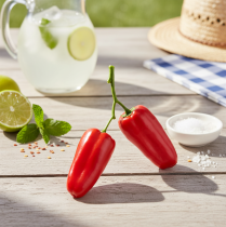 Artikel Konstgjord röd paprika på grengrönsaksdekoration L8cm