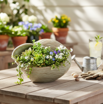 Artikel Keramisk skål med snäckskaldesign för elegant dekoration i vardagsrummet, 23 cm